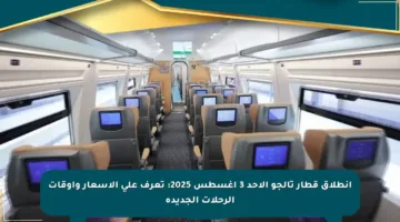انطلاق قطار تالجو الأحد 3 أغسطس 2025: تعرف على الأسعار وأوقات الرحلات الجديدة